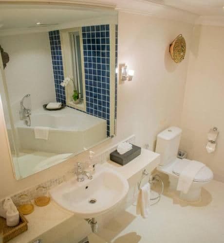 Deluxe Double or Twin Room