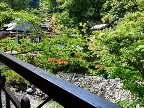 Japanese-Style Room