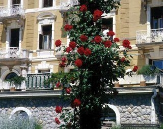Opatija3