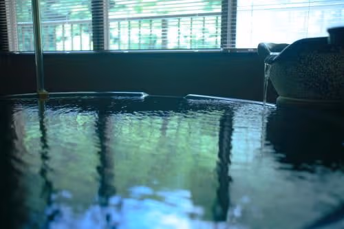 Deluxe Room with Tamami Area with Open-Air Bath 201