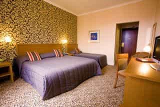Best Western Queen Best Western Queen