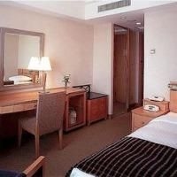 Ana Hotel Clement Takamastu4