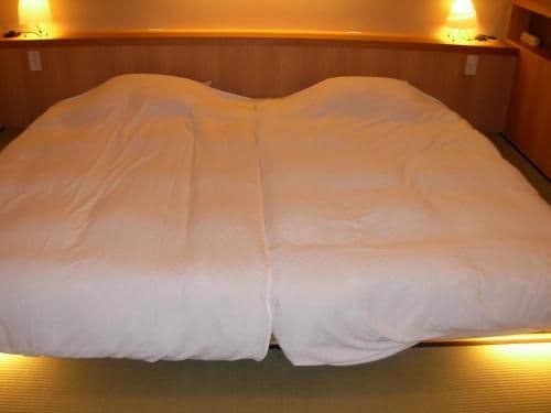 2017 July 13 Renovated - Twin Bed Room with Outdoor Hot Spring with Japanese Garden View