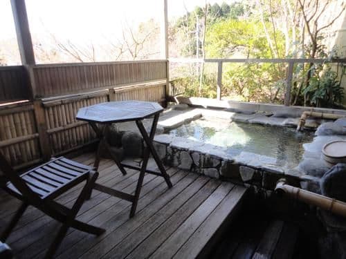 Luxury Suite with Mt. Fuji View