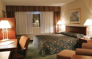 Holiday Inn Denver Central3