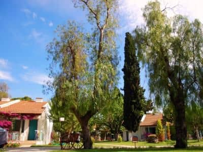 Kustur Club Holiday Village Kustur Club Holiday Village