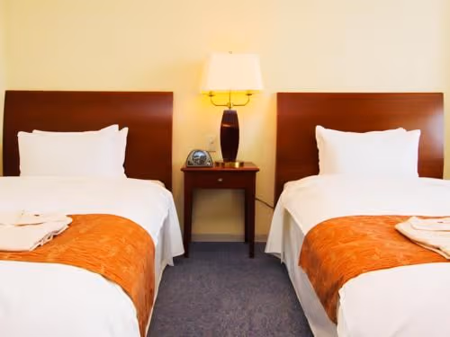 Standard Twin Room - Non-Smoking