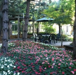 Toronto Plaza Airport Hotel-formelyDays Hotel &Con4