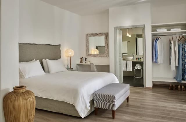 SUITE EXECUTIVE