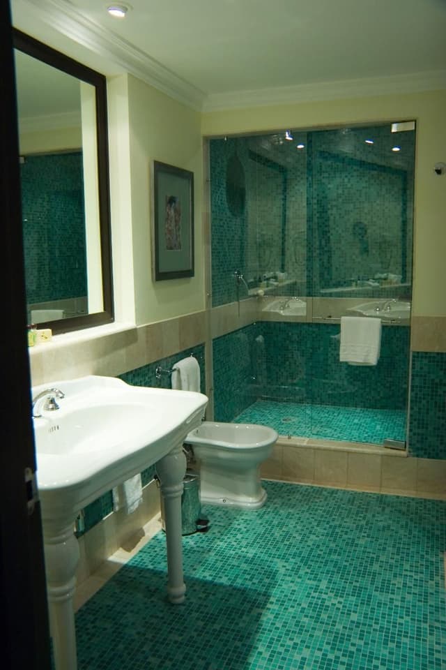 JUNIOR SUITE CAPACITY 1