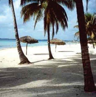 Horizontes Playa Larga0