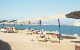 Dawar El Omda3