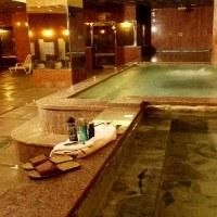 Seoul Palace Hotel1