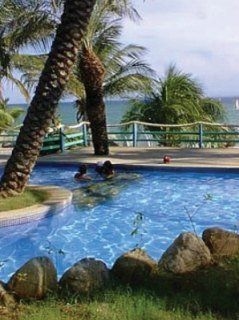 Surf Paradise1