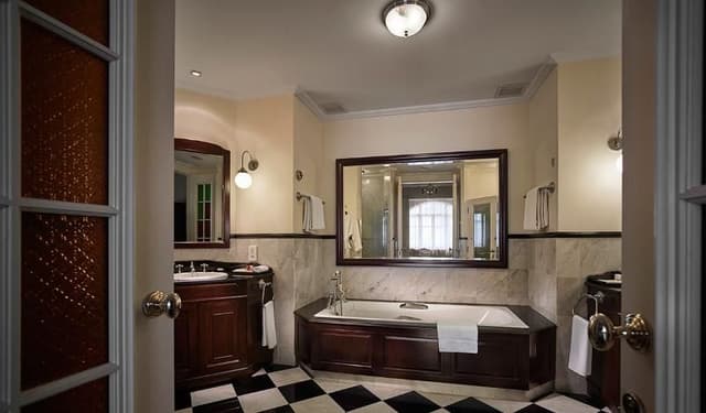 DOUBLE STANDARD