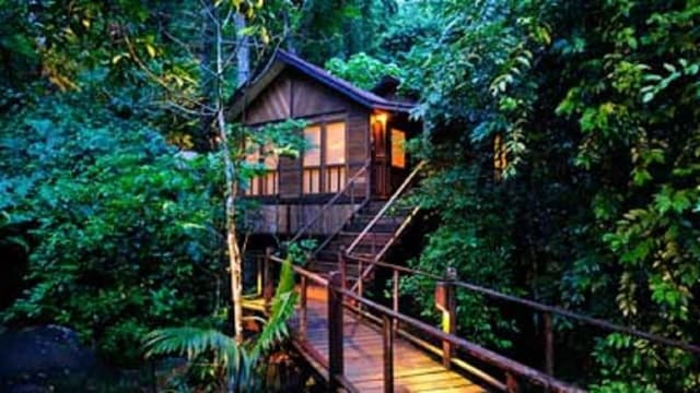 CHALET STANDARD
