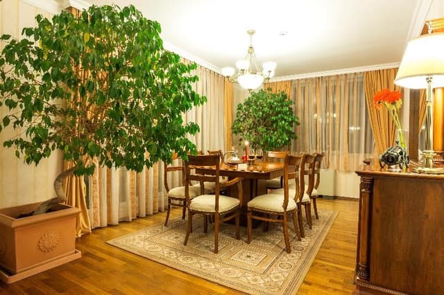 APARTMENT DELUXE