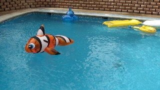 Marconfort Flamingo Playa Aparthotel4