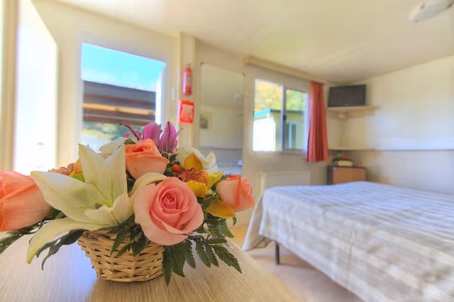 BUNGALOW STANDARD
