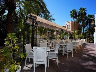 Palm Oasis Maspalomas2