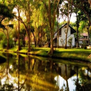 Cinnamon Lodge0