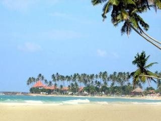 Dickwella Resort & Spa3