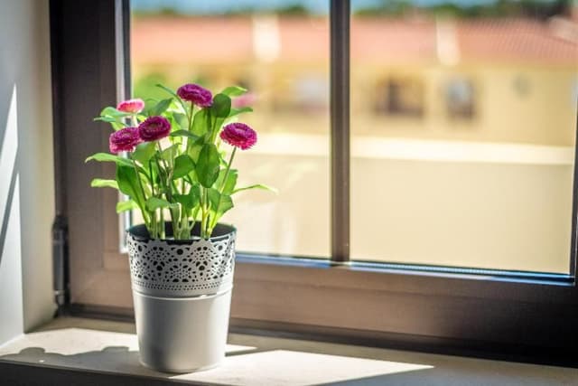 APARTMENT GARDEN VIEW ONE BEDROOM