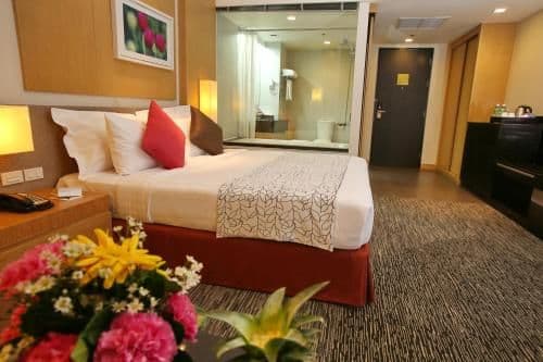 Deluxe Double or Twin Room