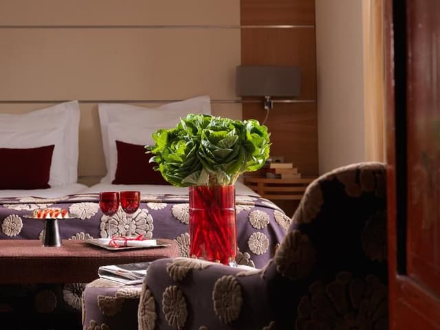 SUITE DELUXE