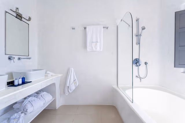 SUITE WITH PRIVATE POOL