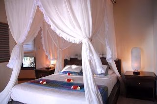 Blue Moon Villas1