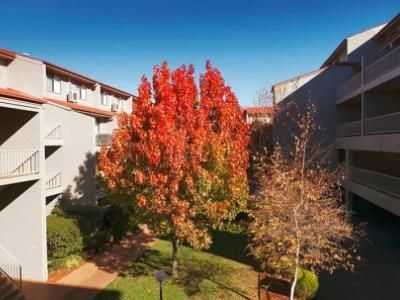 Pinnacle Apartments Canberra1
