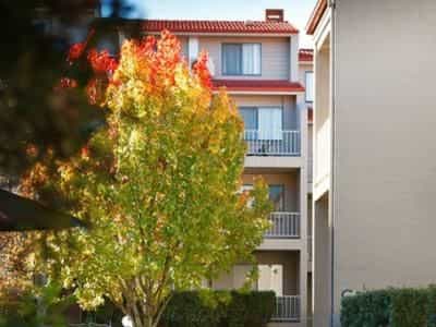 Pinnacle Apartments Canberra