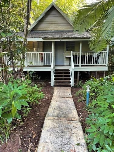 Ferntree Rainforest Lodge2