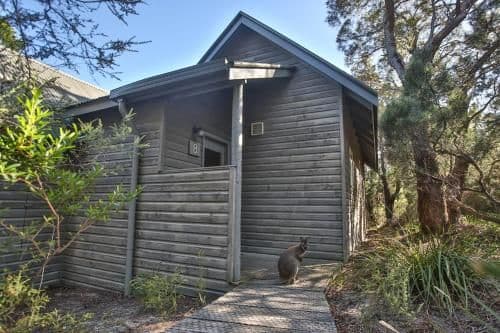 One Room Cabin