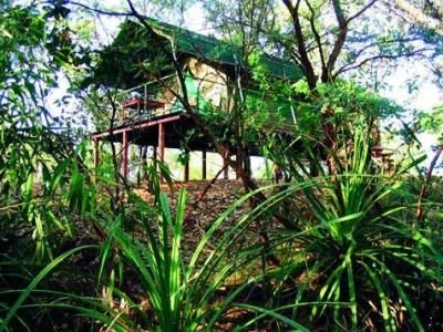 Mornington Wilderness Camp0