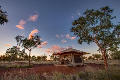 Deluxe Eco King or Twin Tent