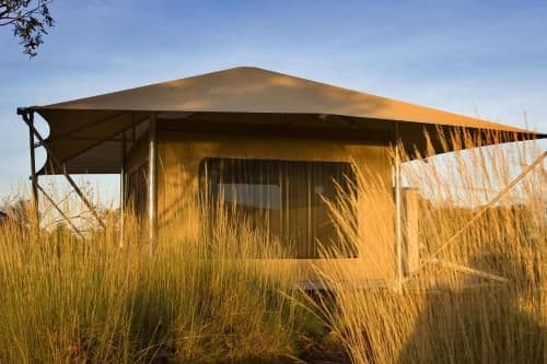 Deluxe Eco King or Twin Tent
