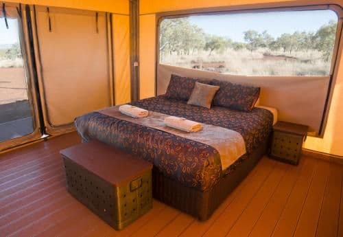 Deluxe Eco King or Twin Tent