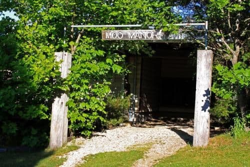 Moo Manor