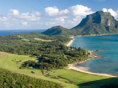 Arajilla Lord Howe Island