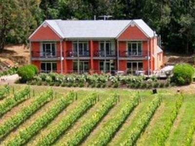 Mantons Creek Vineyard0