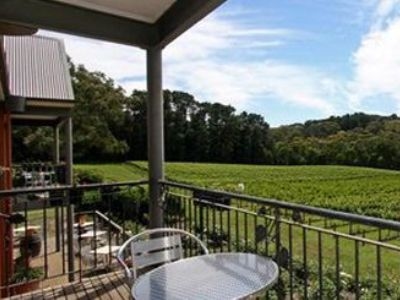 Mantons Creek Vineyard2