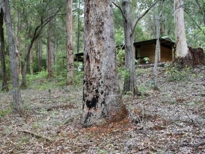 Warren River Resort1