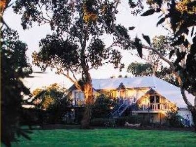 Manor Gums0