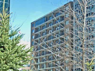 Capital Hill Hotel And Suites