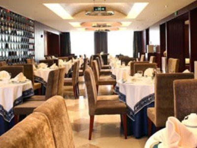 Shangda International3