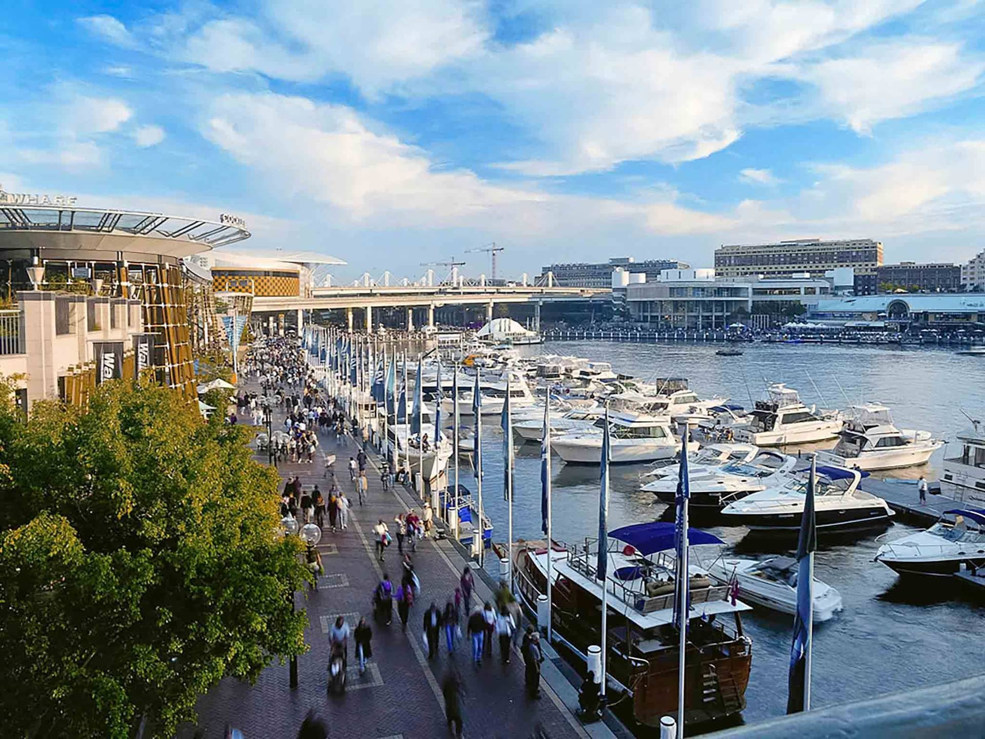 Novotel Sydney Rockford Darling Harbour Novotel Sydney Rockford Darling Harbour