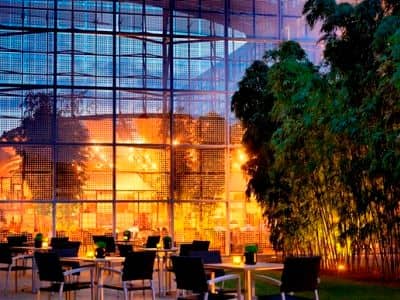 Hyatt Regency Charles De Gaulle Hyatt Regency Charles De Gaulle