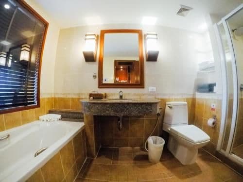 Deluxe Plus Double or Twin Room